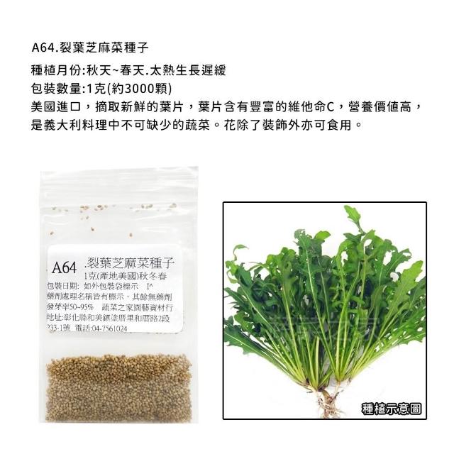 【蔬菜工坊】新手生菜類種子系列-各包裝數量詳見內文及圖片說明