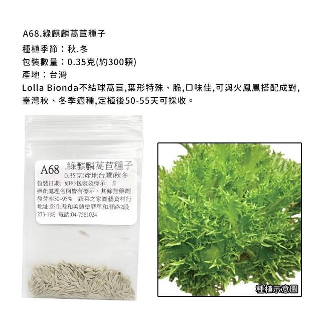 【蔬菜工坊】新手生菜類種子系列-各包裝數量詳見內文及圖片說明