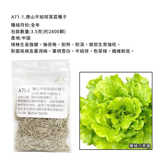 【蔬菜工坊】新手生菜類種子系列-各包裝數量詳見內文及圖片說明