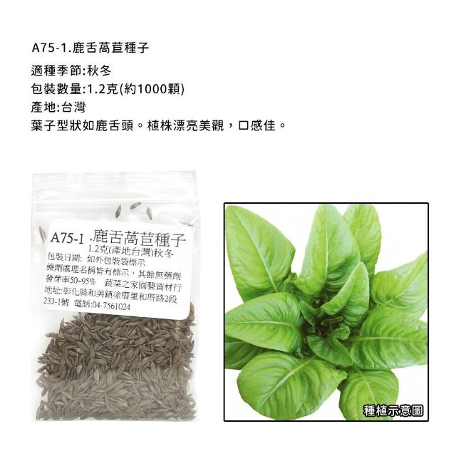 【蔬菜工坊】新手生菜類種子系列-各包裝數量詳見內文及圖片說明