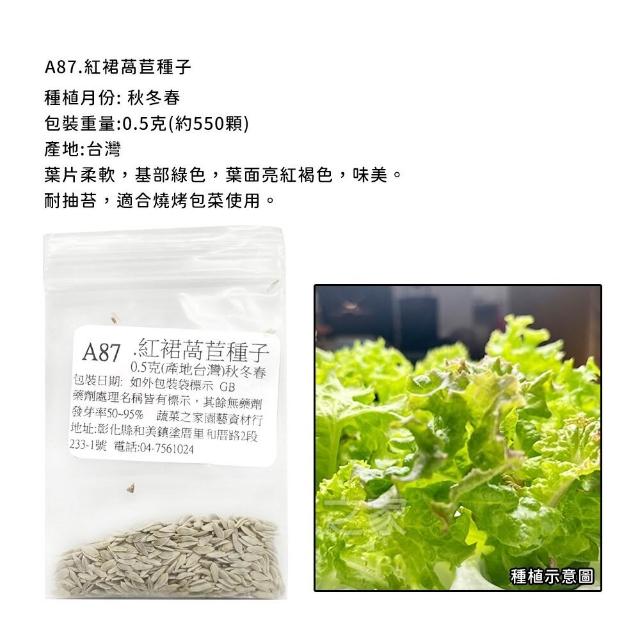 【蔬菜工坊】新手生菜類種子系列-各包裝數量詳見內文及圖片說明
