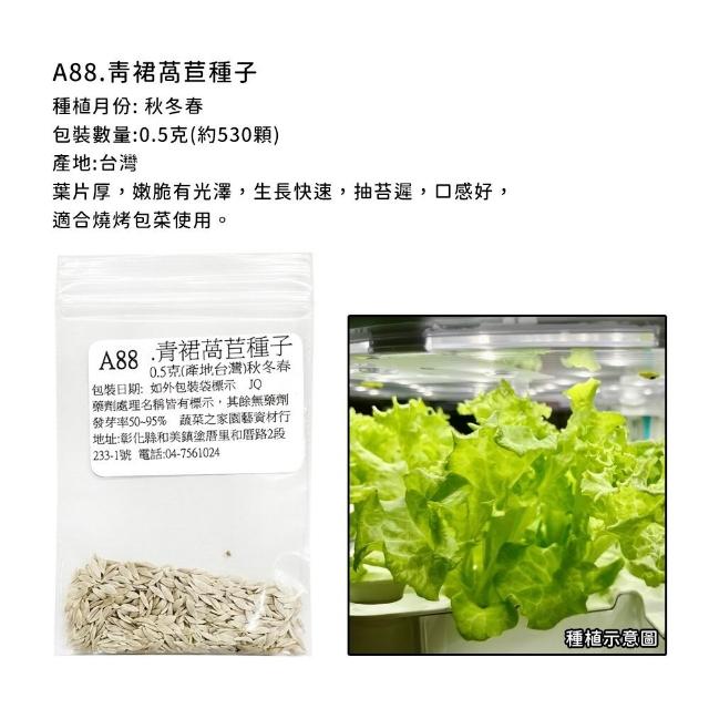 【蔬菜工坊】新手生菜類種子系列-各包裝數量詳見內文及圖片說明