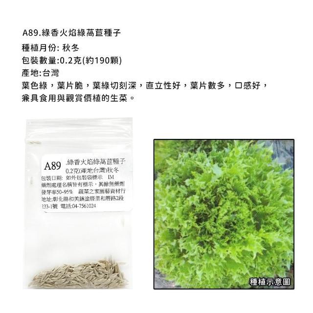【蔬菜工坊】新手生菜類種子系列-各包裝數量詳見內文及圖片說明
