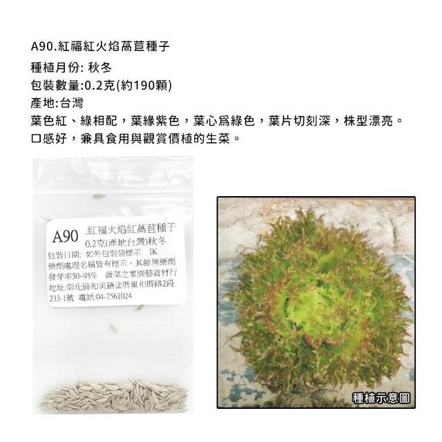 【蔬菜工坊】新手生菜類種子系列-各包裝數量詳見內文及圖片說明