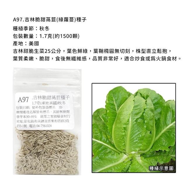 【蔬菜工坊】新手生菜類種子系列-各包裝數量詳見內文及圖片說明