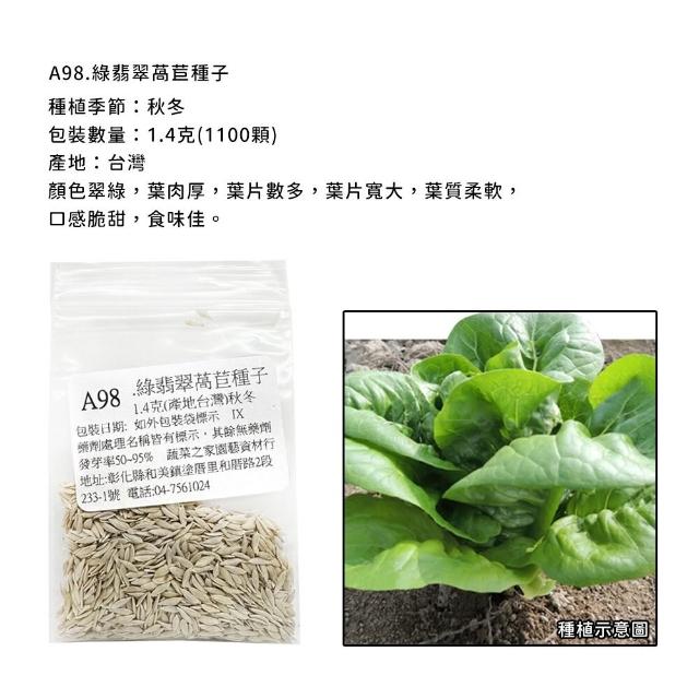 【蔬菜工坊】新手生菜類種子系列-各包裝數量詳見內文及圖片說明