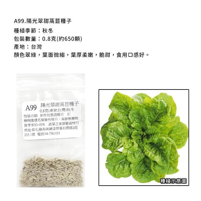 【蔬菜工坊】新手生菜類種子系列-各包裝數量詳見內文及圖片說明
