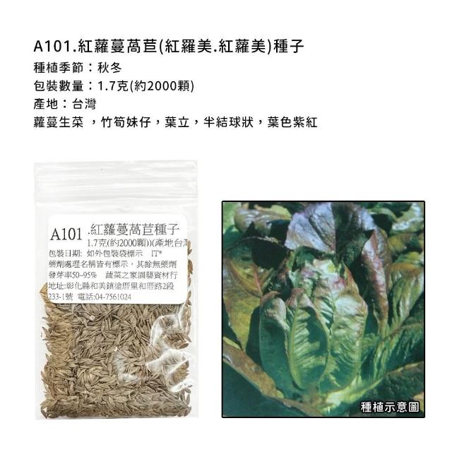 【蔬菜工坊】新手生菜類種子系列-各包裝數量詳見內文及圖片說明