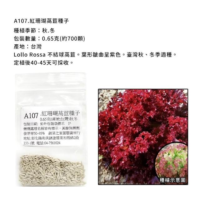 【蔬菜工坊】新手生菜類種子系列-各包裝數量詳見內文及圖片說明