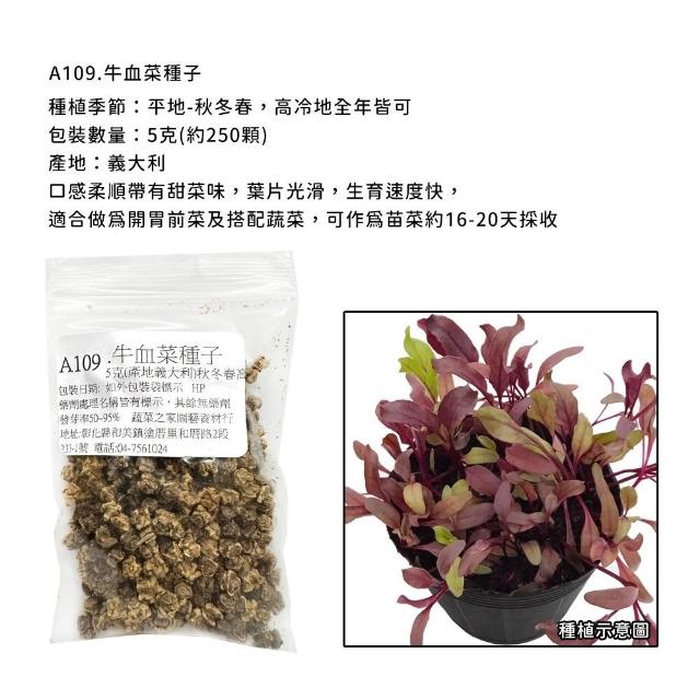 【蔬菜工坊】新手生菜類種子系列-各包裝數量詳見內文及圖片說明