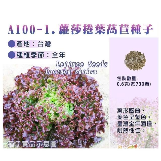 【蔬菜工坊】新手生菜類種子系列-各包裝數量詳見內文及圖片說明