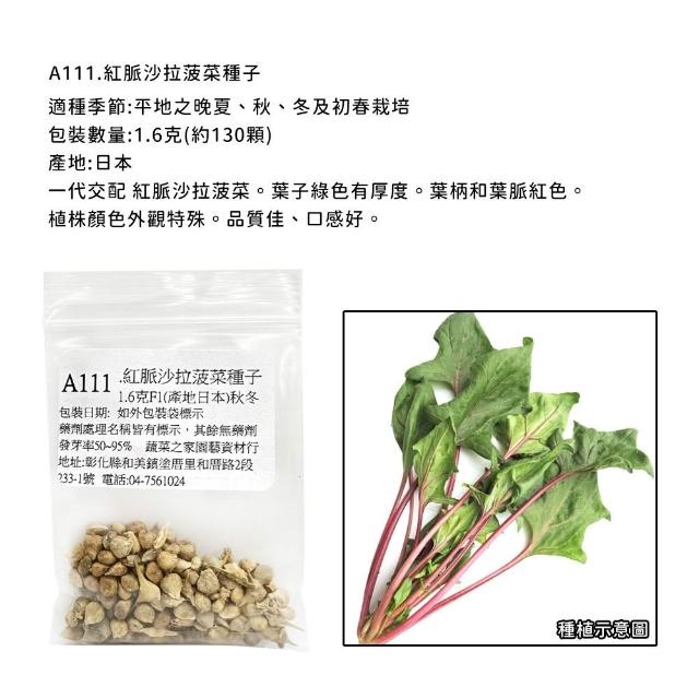 【蔬菜工坊】新手生菜類種子系列-各包裝數量詳見內文及圖片說明