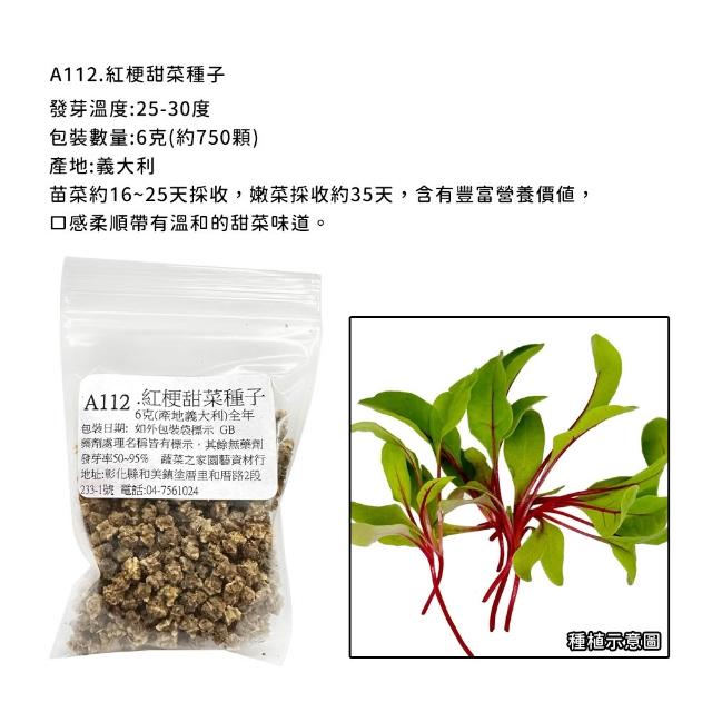 【蔬菜工坊】新手生菜類種子系列-各包裝數量詳見內文及圖片說明
