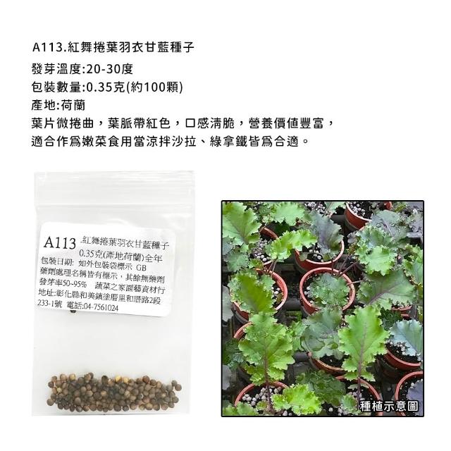 【蔬菜工坊】新手生菜類種子系列-各包裝數量詳見內文及圖片說明