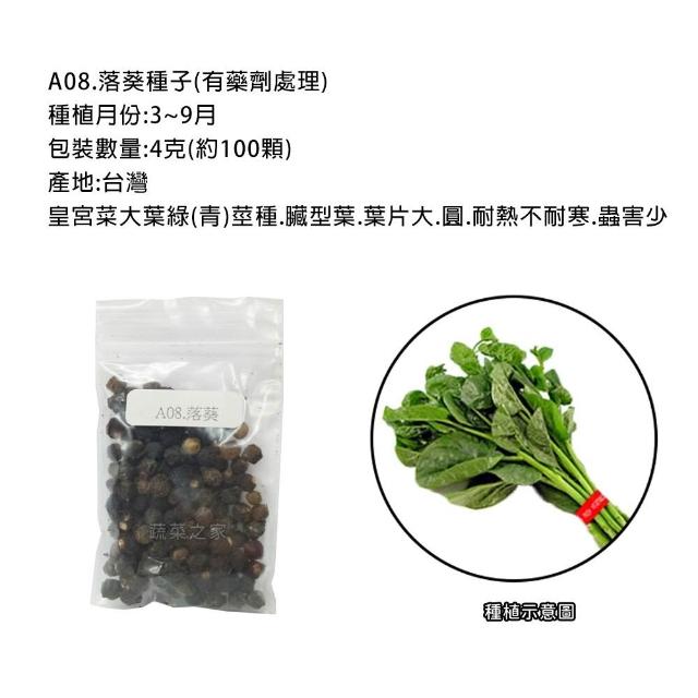 【蔬菜工坊】新手短期收成全年可栽培葉菜類種子系列-各種包裝數
