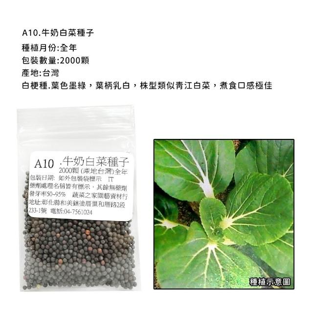 【蔬菜工坊】新手短期收成全年可栽培葉菜類種子系列-各種包裝數