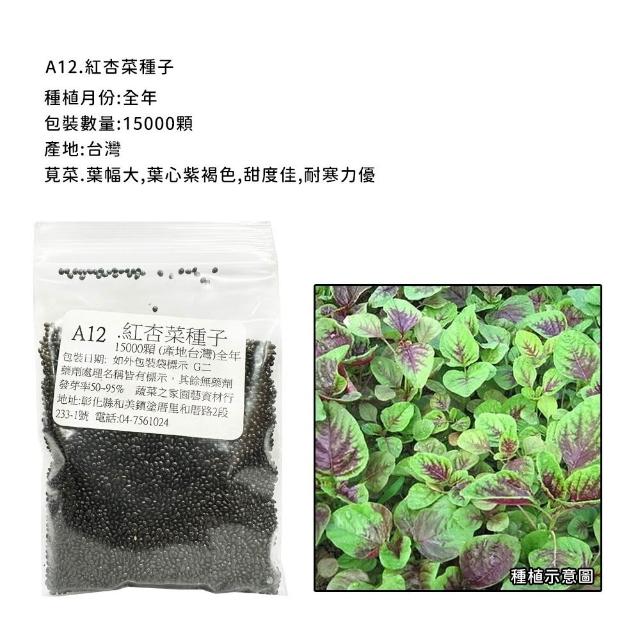 【蔬菜工坊】新手短期收成全年可栽培葉菜類種子系列-各種包裝數