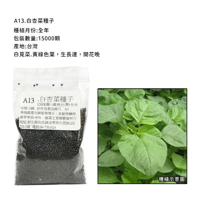 【蔬菜工坊】新手短期收成全年可栽培葉菜類種子系列-各種包裝數