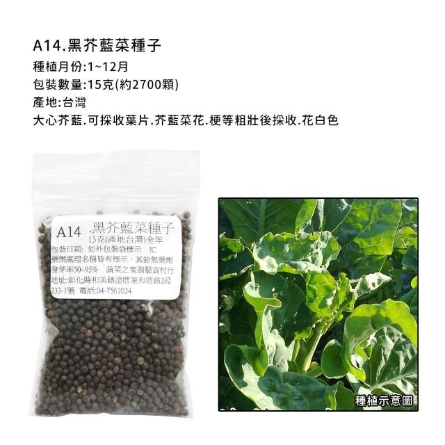 【蔬菜工坊】新手短期收成全年可栽培葉菜類種子系列-各種包裝數