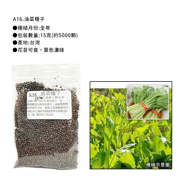【蔬菜工坊】新手短期收成全年可栽培葉菜類種子系列-各種包裝數