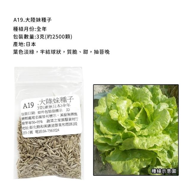 【蔬菜工坊】新手短期收成全年可栽培葉菜類種子系列-各種包裝數