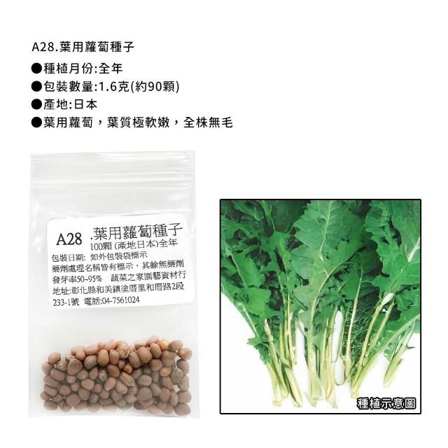 【蔬菜工坊】新手短期收成全年可栽培葉菜類種子系列-各種包裝數