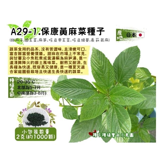 【蔬菜工坊】新手短期收成全年可栽培葉菜類種子系列-各種包裝數