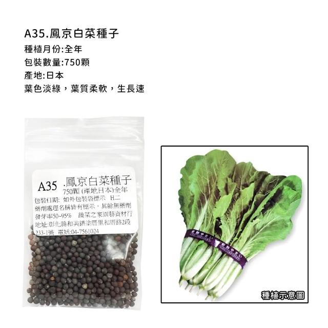 【蔬菜工坊】新手短期收成全年可栽培葉菜類種子系列-各種包裝數