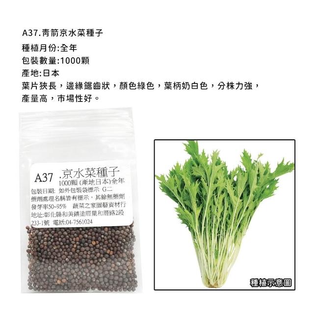 【蔬菜工坊】新手短期收成全年可栽培葉菜類種子系列-各種包裝數