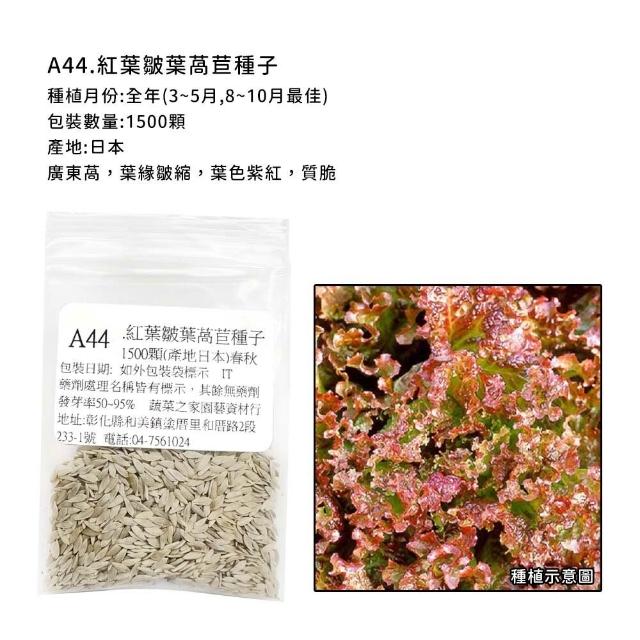 【蔬菜工坊】新手短期收成全年可栽培葉菜類種子系列-各種包裝數