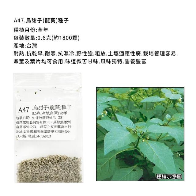 【蔬菜工坊】新手短期收成全年可栽培葉菜類種子系列-各種包裝數