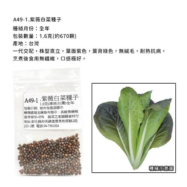 【蔬菜工坊】新手短期收成全年可栽培葉菜類種子系列-各種包裝數