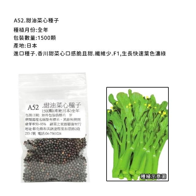 【蔬菜工坊】新手短期收成全年可栽培葉菜類種子系列-各種包裝數