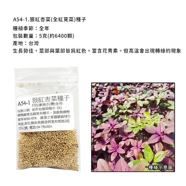 【蔬菜工坊】新手短期收成全年可栽培葉菜類種子系列-各種包裝數