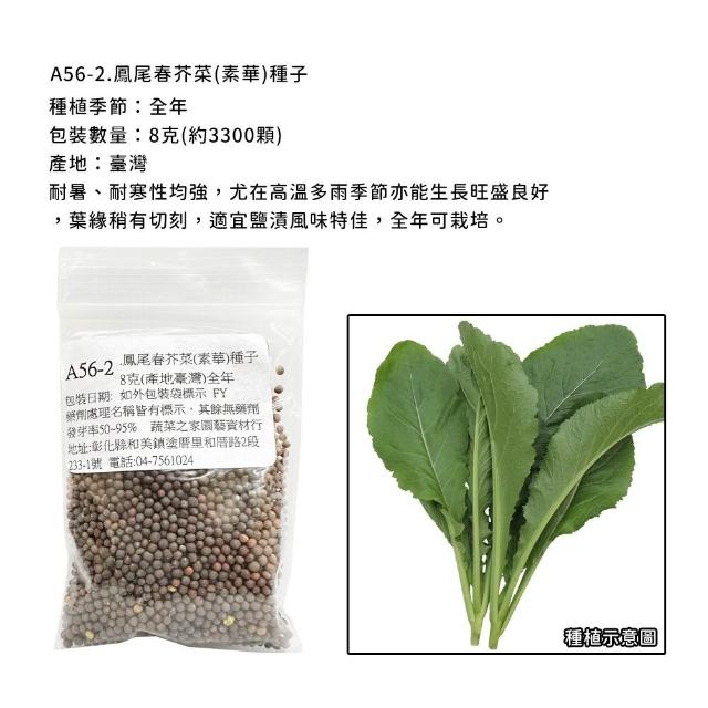 【蔬菜工坊】新手短期收成全年可栽培葉菜類種子系列-各種包裝數