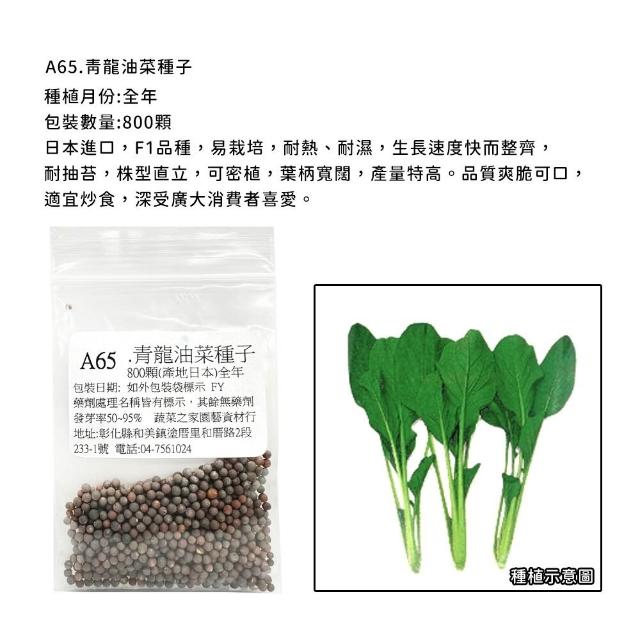 【蔬菜工坊】新手短期收成全年可栽培葉菜類種子系列-各種包裝數