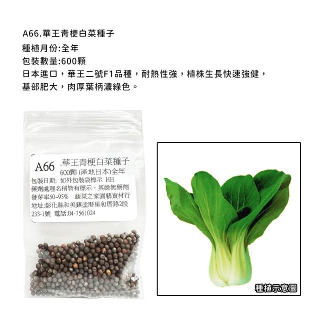 【蔬菜工坊】新手短期收成全年可栽培葉菜類種子系列-各種包裝數