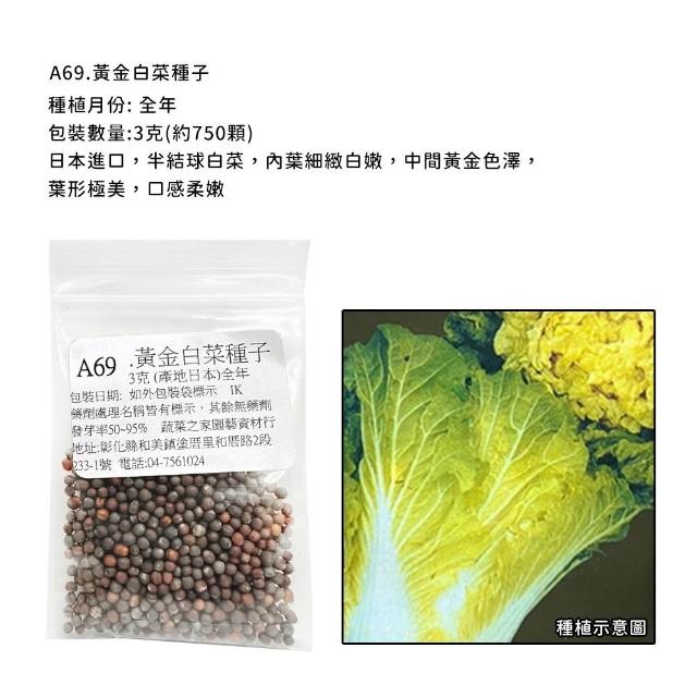 【蔬菜工坊】新手短期收成全年可栽培葉菜類種子系列-各種包裝數