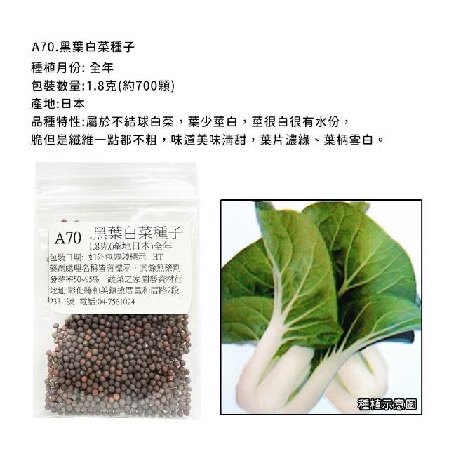 【蔬菜工坊】新手短期收成全年可栽培葉菜類種子系列-各種包裝數