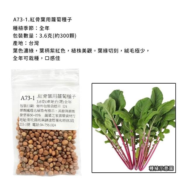 【蔬菜工坊】新手短期收成全年可栽培葉菜類種子系列-各種包裝數