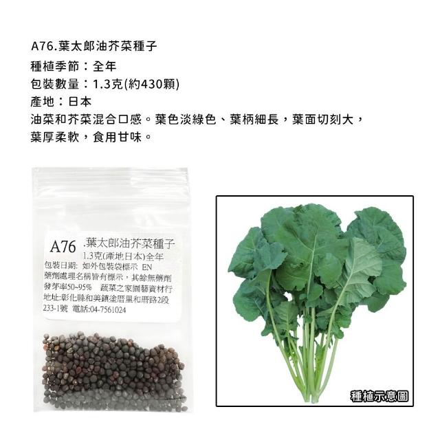 【蔬菜工坊】新手短期收成全年可栽培葉菜類種子系列-各種包裝數