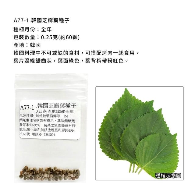 【蔬菜工坊】新手短期收成全年可栽培葉菜類種子系列-各種包裝數