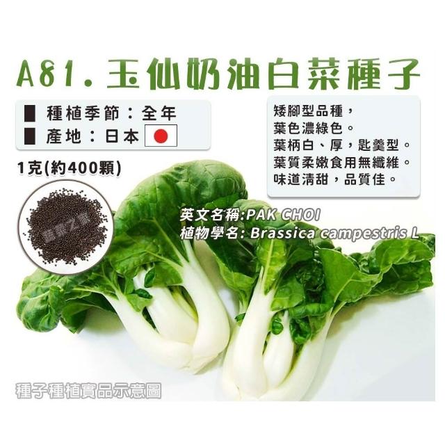 【蔬菜工坊】新手短期收成全年可栽培葉菜類種子系列-各種包裝數
