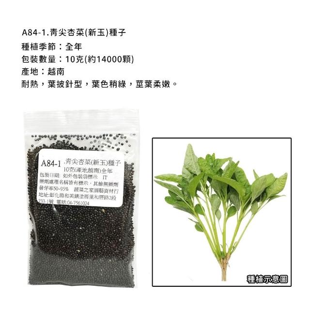 【蔬菜工坊】新手短期收成全年可栽培葉菜類種子系列-各種包裝數