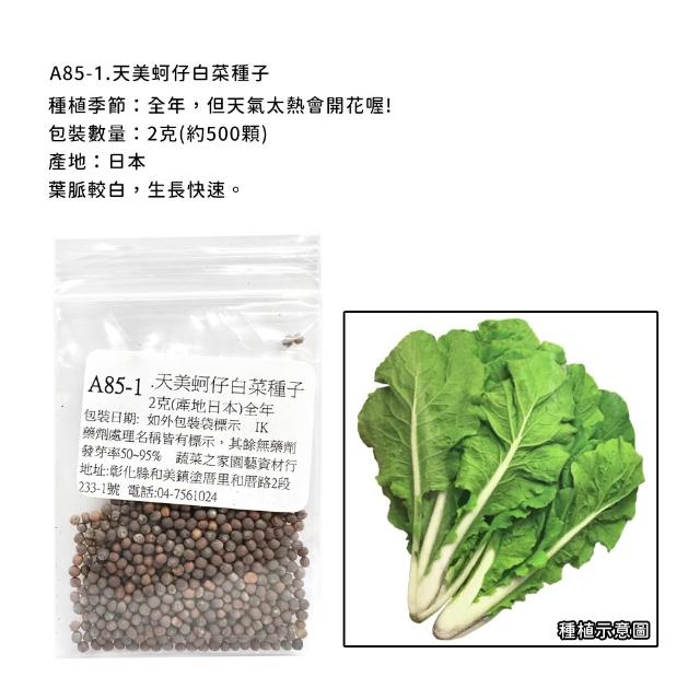 【蔬菜工坊】新手短期收成全年可栽培葉菜類種子系列-各種包裝數