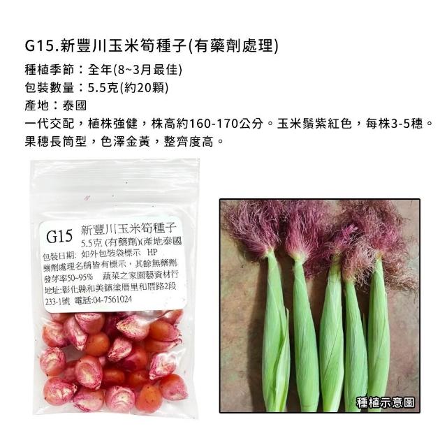 【蔬菜工坊】玉米種子系列-各包裝數量詳見內文及圖片說明(水果玉米 玉米筍 糯玉米 超甜玉米)