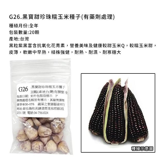 【蔬菜工坊】玉米種子系列-各包裝數量詳見內文及圖片說明(水果玉米 玉米筍 糯玉米 超甜玉米)