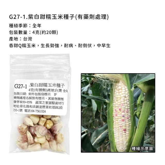【蔬菜工坊】玉米種子系列-各包裝數量詳見內文及圖片說明(水果玉米 玉米筍 糯玉米 超甜玉米)