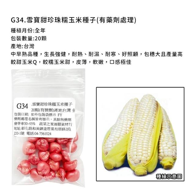 【蔬菜工坊】玉米種子系列-各包裝數量詳見內文及圖片說明(水果玉米 玉米筍 糯玉米 超甜玉米)