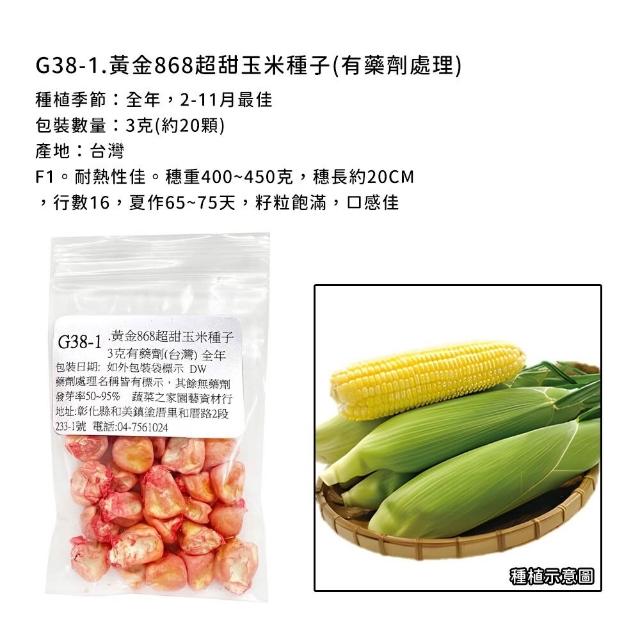 【蔬菜工坊】玉米種子系列-各包裝數量詳見內文及圖片說明(水果玉米 玉米筍 糯玉米 超甜玉米)